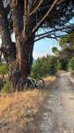 thumbnail_IMG_8540.jpg