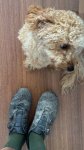 IMG_8325.jpeg