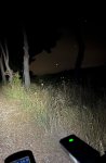 thumbnail_IMG_8583.jpg
