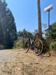 IMG_5909.jpeg