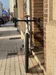 IMG_8497.jpeg
