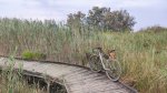 IMG_20250818_201302.jpg