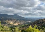 thumbnail_IMG_8836.jpg