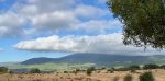 thumbnail_IMG_8833.jpg