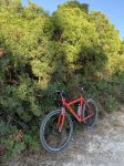 IMG_0707.jpg