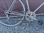 IMG_7657.jpeg