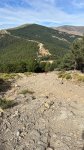 thumbnail_IMG_9530.jpg
