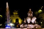 DSC_0903.jpg