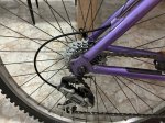 IMG_3391.jpeg