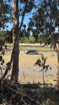 IMG_9475.jpeg