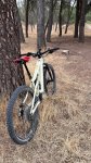 thumbnail_IMG_9728.jpg