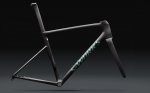 RTP Raw Carbon.jpg