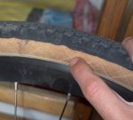 WhatsApp Image 2025-11-26 at 11.18.50.jpeg