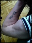 brazako tattoo [Resolucion de Escritorio].JPG