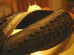 DSC02687.JPG