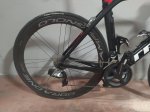 Madone4.jpg