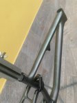 IMG_1153.jpeg