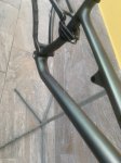 IMG_1152.jpeg