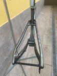 IMG_1151.jpeg