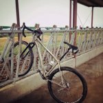 IMG_3388.jpeg