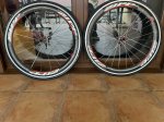 IMG_4867.JPEG