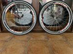 IMG_4869.JPEG