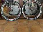 IMG_4866.JPEG
