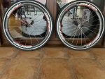 IMG_4868.JPEG