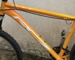 IMG_5657.jpeg