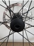IMG_5666.jpeg