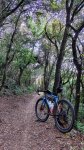 IMG-20260511-WA0004.jpg