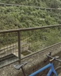 IMG_3736.jpeg