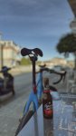 IMG_3761.jpeg