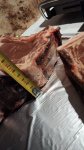 IMG-20251005-WA0012.jpg