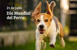 perro.jpg