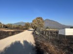 IMG_3849.jpeg