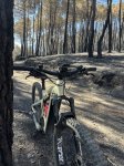 IMG_3851.jpeg
