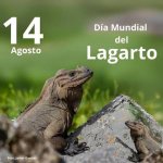 lagarto.jpg