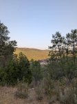 PXL_20260810_183719498.jpg