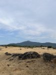 IMG_4089.jpeg