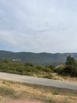 IMG_4091.jpeg