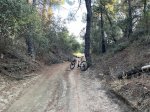 IMG_4094.jpeg