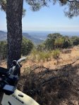IMG_4101.jpeg