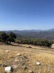 IMG_4102.jpeg