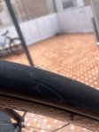 IMG_5259.jpeg