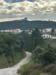 IMG_2736.jpeg