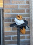 IMG_6272.jpeg