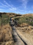 IMG_4698.jpeg