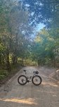 IMG_6502.jpeg