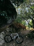 IMG_6825.jpeg